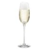 Holmegaard Fontaine Champagneglas