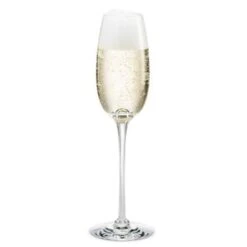 Holmegaard Fontaine Champagneglas