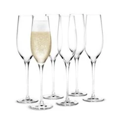 Holmegaard Cabernet Champagneglas -Vinglas Butik image 7937