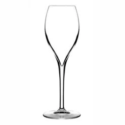 Opale Champagneglas 16 Cl